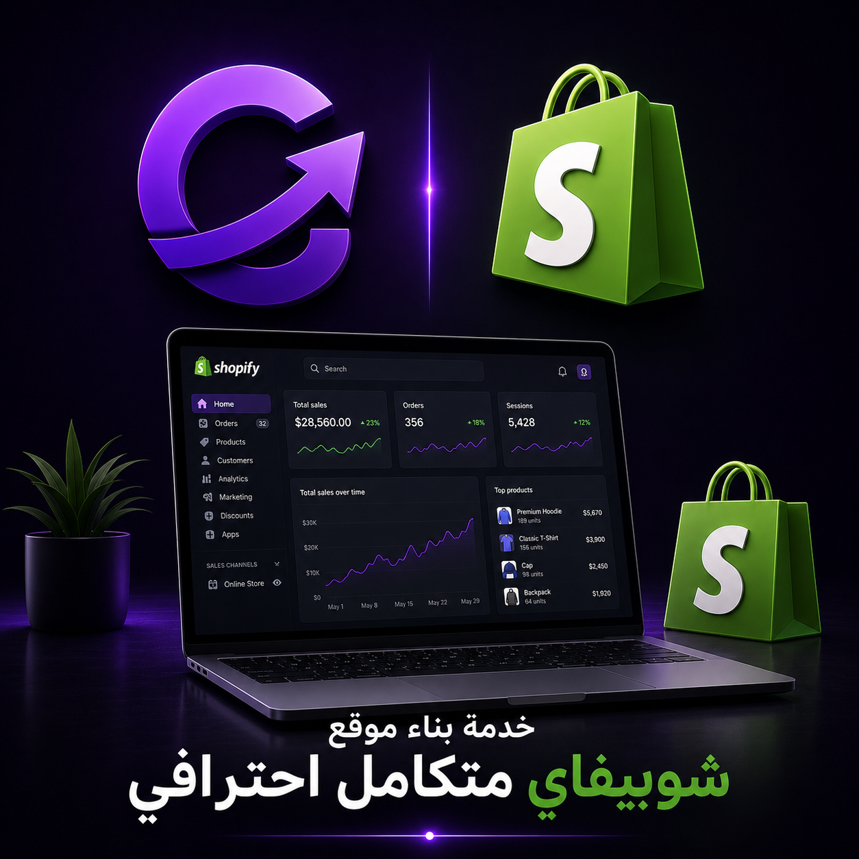 Professional Shopify Store Setup